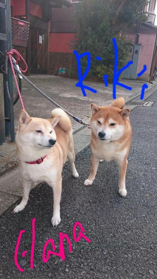 타키가와 료칸 교토 외부 사진